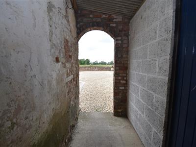 Picture 11